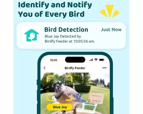 Birdfy Madáretető kamerával, (ingyenes AI egy életre) (EPPAMBNI8101100)