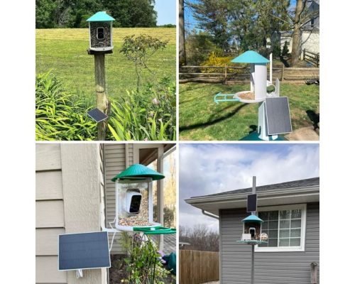 Birdfy Madáretető kamerával és napelemmel, AI előfizetéssel (EPPAMBNI8101110)