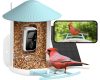 Birdfy Madáretető kamerával és napelemmel (AI előfizetés) (EPPAMBNI8102110)