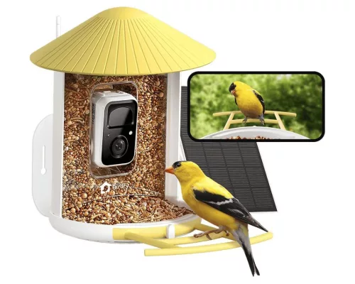 Birdfy Madáretető kamerával és napelemmel (AI előfizetés) (EPPAMBNI8102110)