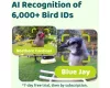 Birdfy Madáretető kamerával, ébenfa, AI nélkül (EPPAMBNI8702110)