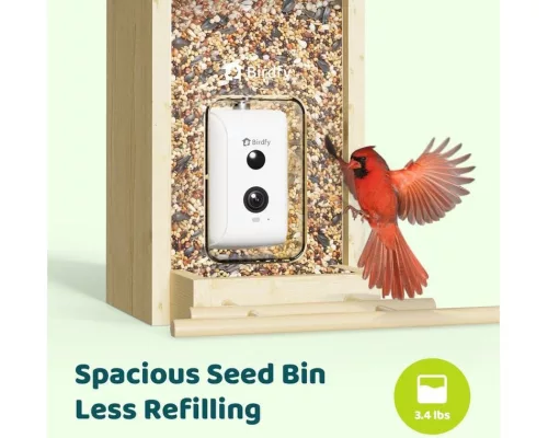 Birdfy Madáretető kamerával, ébenfa, AI nélkül (EPPAMBNI8702110)