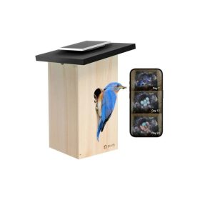   Birdfy Madáretető kamerával, ébenfa, AI nélkül (EPPAMBNI8802110)