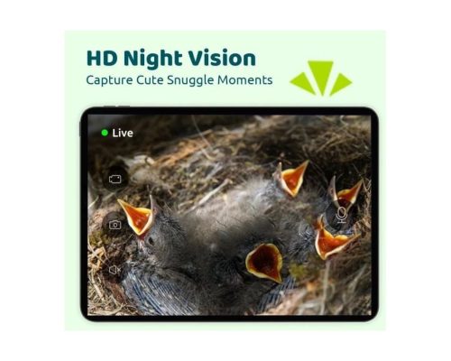 Birdfy Madáretető kamerával, ébenfa, AI nélkül (EPPAMBNI8802110)