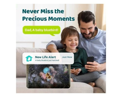 Birdfy Madáretető kamerával, ébenfa, AI nélkül (EPPAMBNI8802110)