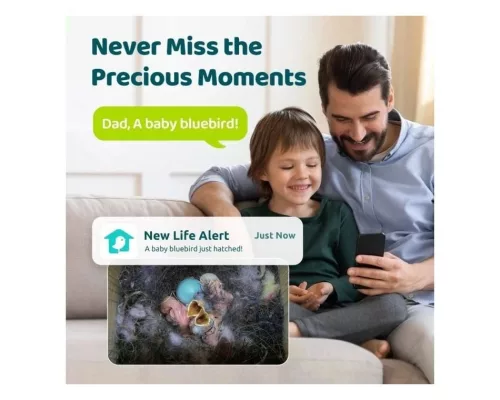 Birdfy Madáretető kamerával, ébenfa, AI nélkül (EPPAMBNI8802110)