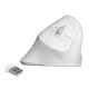 Delock Ergonómikus, vezetéknélküli függoleges USB egér (12596)