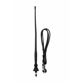 Carpoint, Antenna Gumi
