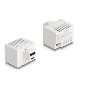   Delock Keystone Modul A-típusú USB-vel és USB Type-C  töltő porttal PD 20 W fehér (41478)