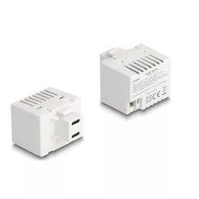   Delock Keystone Modul 2 x USB Type-C  töltő porttal PD 20 W fehér (41479)