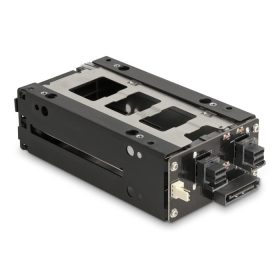Delock Slim Mobil Rack 2 x 2.5  U.2 NVMe SSD