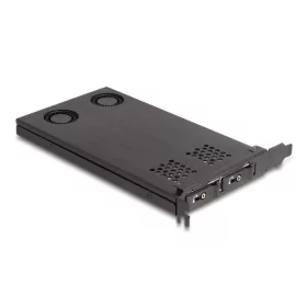   Delock PCI expressz x16 kártya mobil-rack 2 x M.2 NVMe SSD-hez - elágazás