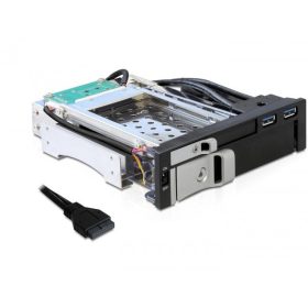 DeLock 2.5" - 3.5" mobil rack SATA HDD-hez (47209)