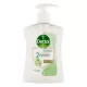 DETTOL kézmosó gél 250 ml Aloe Vera