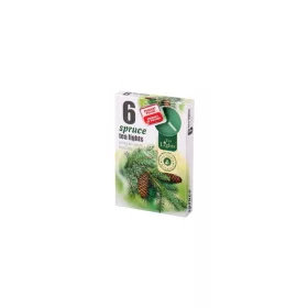 Illatos teamécses 6 db Fenyő