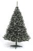 Extralink Spruce with White Rowan, 150cm, with Stand