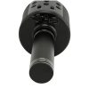 Extralink | Wireless Microphone | with Speaker, Bluetooth, black