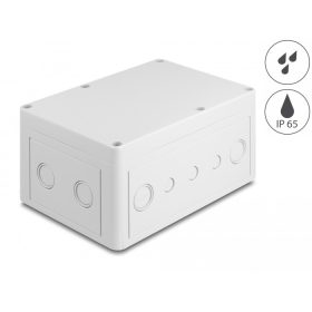   Delock Installációs ház kábel bemenetekkel 180 x 125 x 90 mm nagyságú szürke (60492)