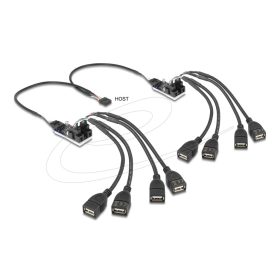 Delock 8 portos USB 2.0 Hub