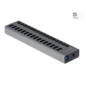  Delock Külső SuperSpeed USB hub 16 bemenettel és kapcsolóval