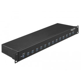   Delock 19  ipari hub 13 x USB 3.1 Gen 1 A-típusú csatlakozóval