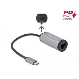   Delock Szürke USB Type-C  adapter tápellátó portos Gigabit LAN-hez