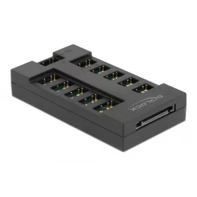 Delock 10 porttos RGB Hub ARGB LED-ekhez (64128)