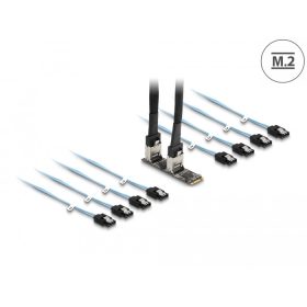 Delock Converter M.2 2280 kulcs B+M dugó 8 x SATA-hoz