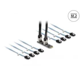 Delock Converter M.2 2280 kulcs B+M dugó 8 x SATA-hoz