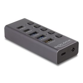   Delock Hub USB 5 Gbps 2 x A-típusú és 2 x USB Type-C  anya és 1 x gyorstöltő port + kapcsoló (64248)