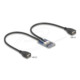   Delock Mini PCIe adapter teljes méret - 2 x USB 2.0 A-típus anya 30 cm (64346)
