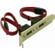 Delock  2x SATA --> 2x eSATA hátlapi kivezetés (DL65116)