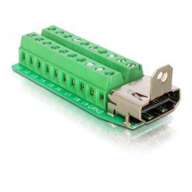 Delock DL65168 HDMI (anya) – 20 tűs sorkapocs adapter