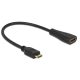 Delock HDMI Ethernettel Mini-C apa véggel > A anya kábel (65650)