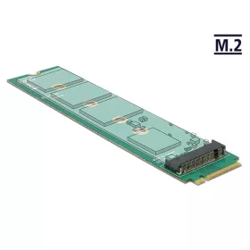 Delock Adapter M.2 Key M apa > M.2 Key A slot (65699)