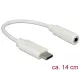 Delock Audio Adapter USB Type-C  bemeneti > Stereo Jack kimeneti 14 cm