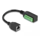 Delock RJ45 Kábel Cat.5e anya - Terminal Block Adapter 21,5 cm (66053)