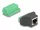 Delock RJ50 anya - Terminal block adapter nyomógombbal