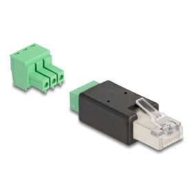   Delock RJ45 apa - Terminal Block Adapter 3 tűs 2-részes (66607)