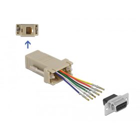   Delock D-Sub 9-tűs anya   RJ12 6P/6C anya összekötő adapter (66759)