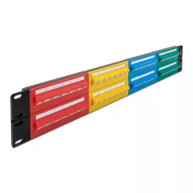 Delock 19  patch panel 48 porttal Cat.5e 2U színes (66881)