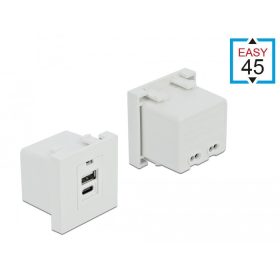   Delock Easy 45 USB töltő port modul 1 x A-típusú és 1 x USB Type-C  csatlakozó felülettel (81313)