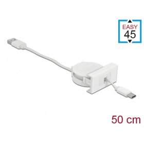   Delock Easy 45 modul USB 2.0 behúzhatós kábel A-típusú USB - USB Type-C  csatlakozókkal fehér (81318)