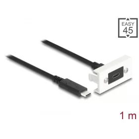   Delock Easy 45 modul SuperSpeed USB 10 Gbps (USB 3.2 Gen 2) USB Type-C  anya - USB Type-C  apa rövid kábellel, 22,5 x 45 mm (81386)