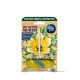 AmbiPur aktív wc gél block 45 g lemon & jasmine