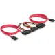 Delock SATA All-in-One kábel 2x HDD 50cm (84356)