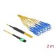Delock Optikai szálkábel MPO anya - 12 x SC Simplex apa, egyszerű módozat, 9/125  m, 2 m hosszú (84871)