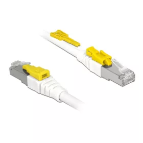 Delock Kábel 2 m-es RJ45 Secure csatlakozós Cat.6A (85332)