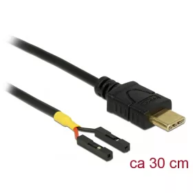   Delock Kábel USB Type-C  apa > 2 x tüskesori csatlakozó, anya, különálló teljesítmény, 30 cm (85396)