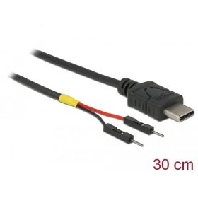   Delock C-Típusú USB tápkábel 2 db. különálló tűfejes apa véggel hossza 30 cm (85420)
